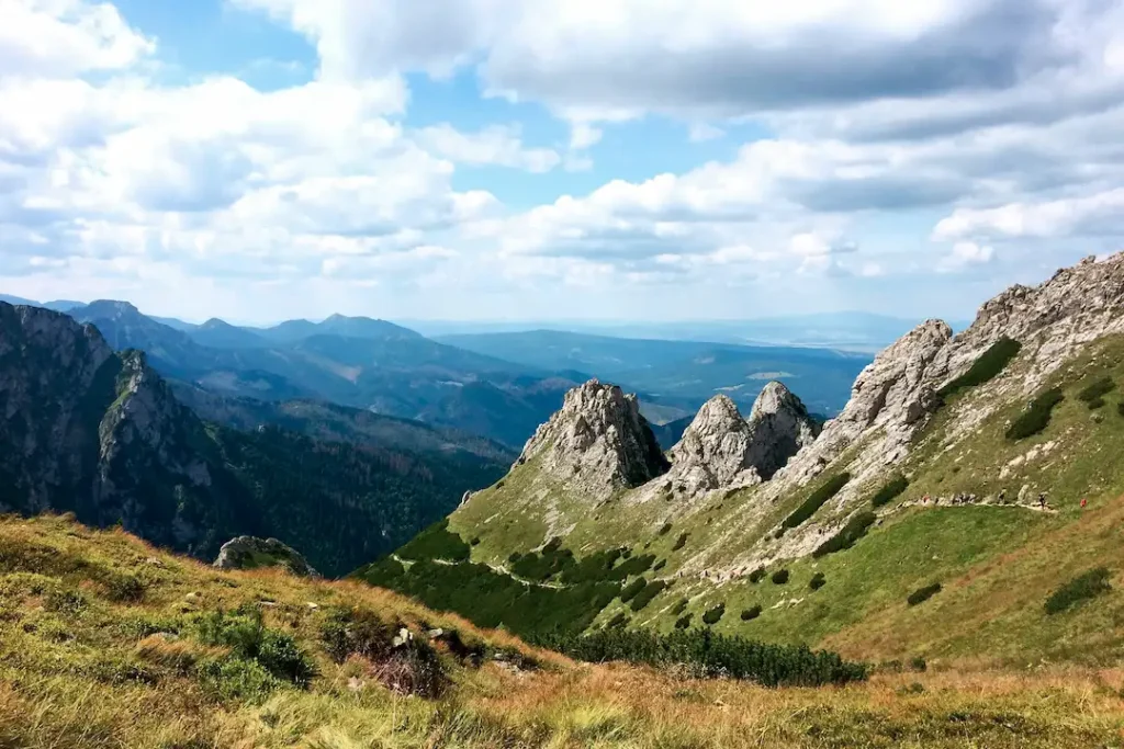 Krajobraz górski Zakopane
